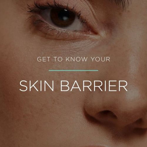 The Skin Barrier: Why It Matters and How to Protect It